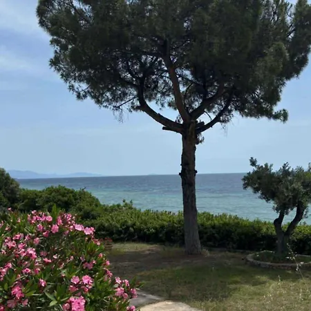 Galini 2 Beachfront