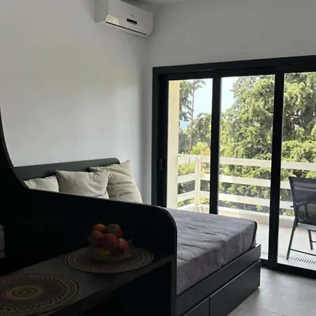 Διαμέρισμα Galini 2 Beachfront Γερακινή